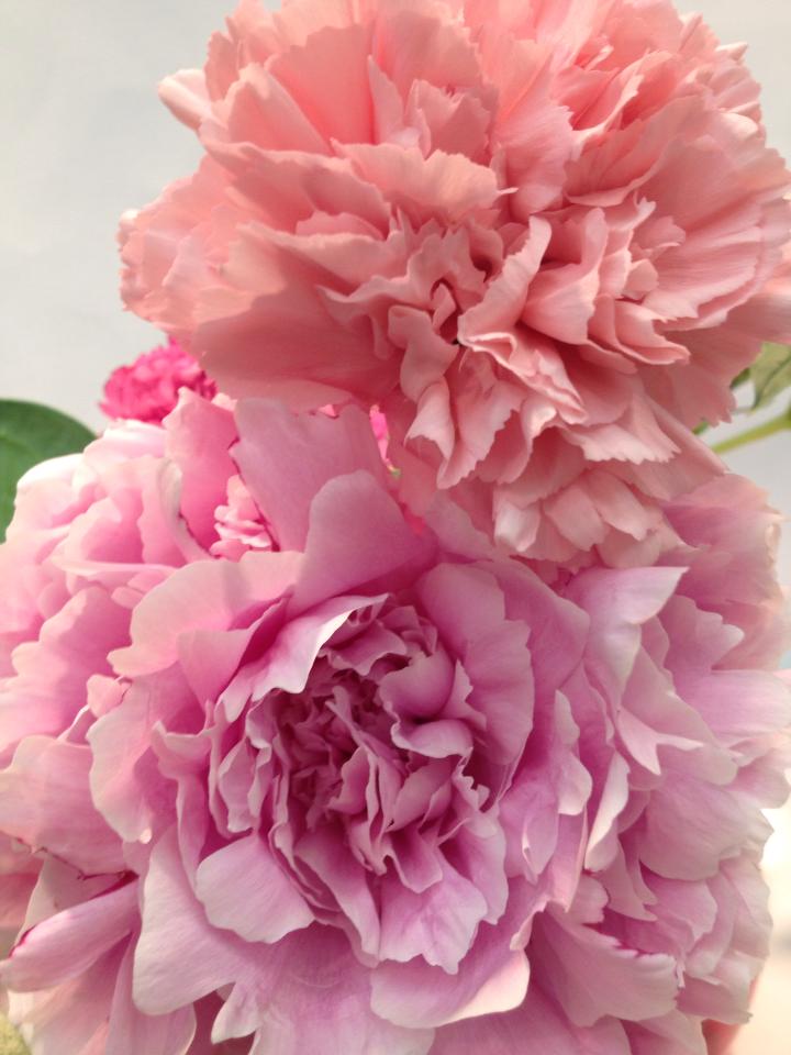 10336791_604844419611696_2118178810991434970_n